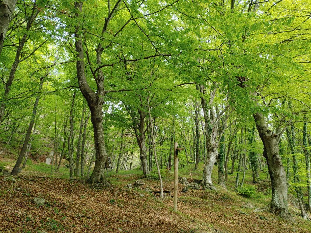 Locazione Turistica Arcobaleno "Appartamento Superior" Roccavivara Zewnętrze zdjęcie