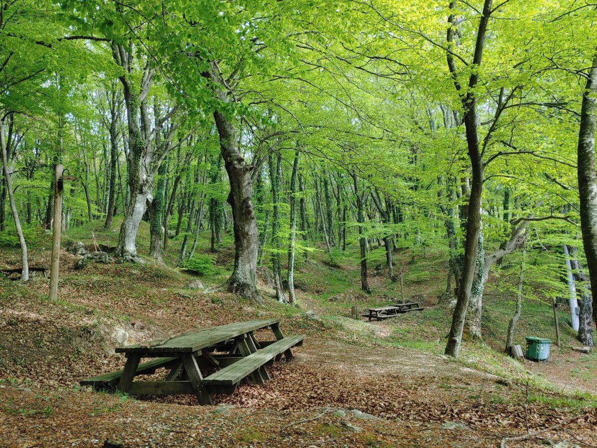 Locazione Turistica Arcobaleno "Appartamento Superior" Roccavivara Zewnętrze zdjęcie