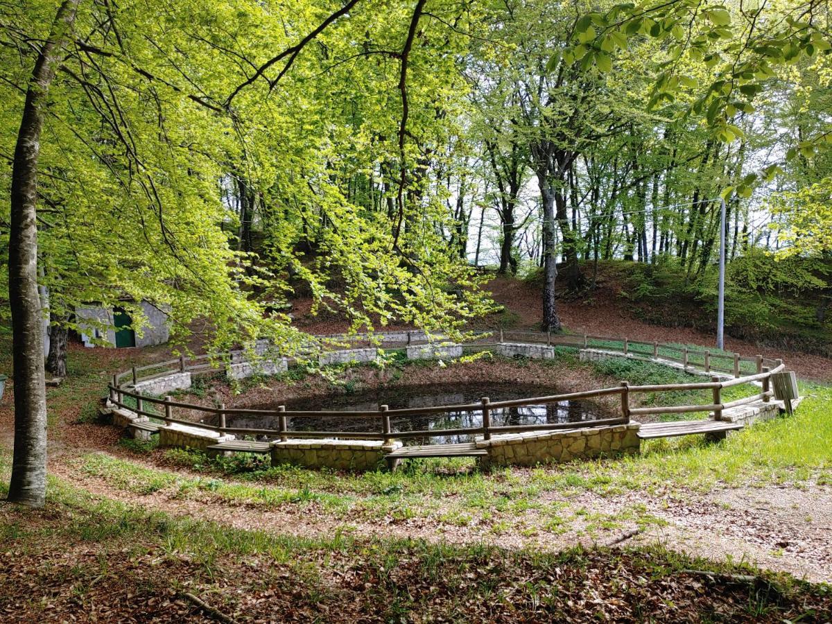 Locazione Turistica Arcobaleno "Appartamento Superior" Roccavivara Zewnętrze zdjęcie