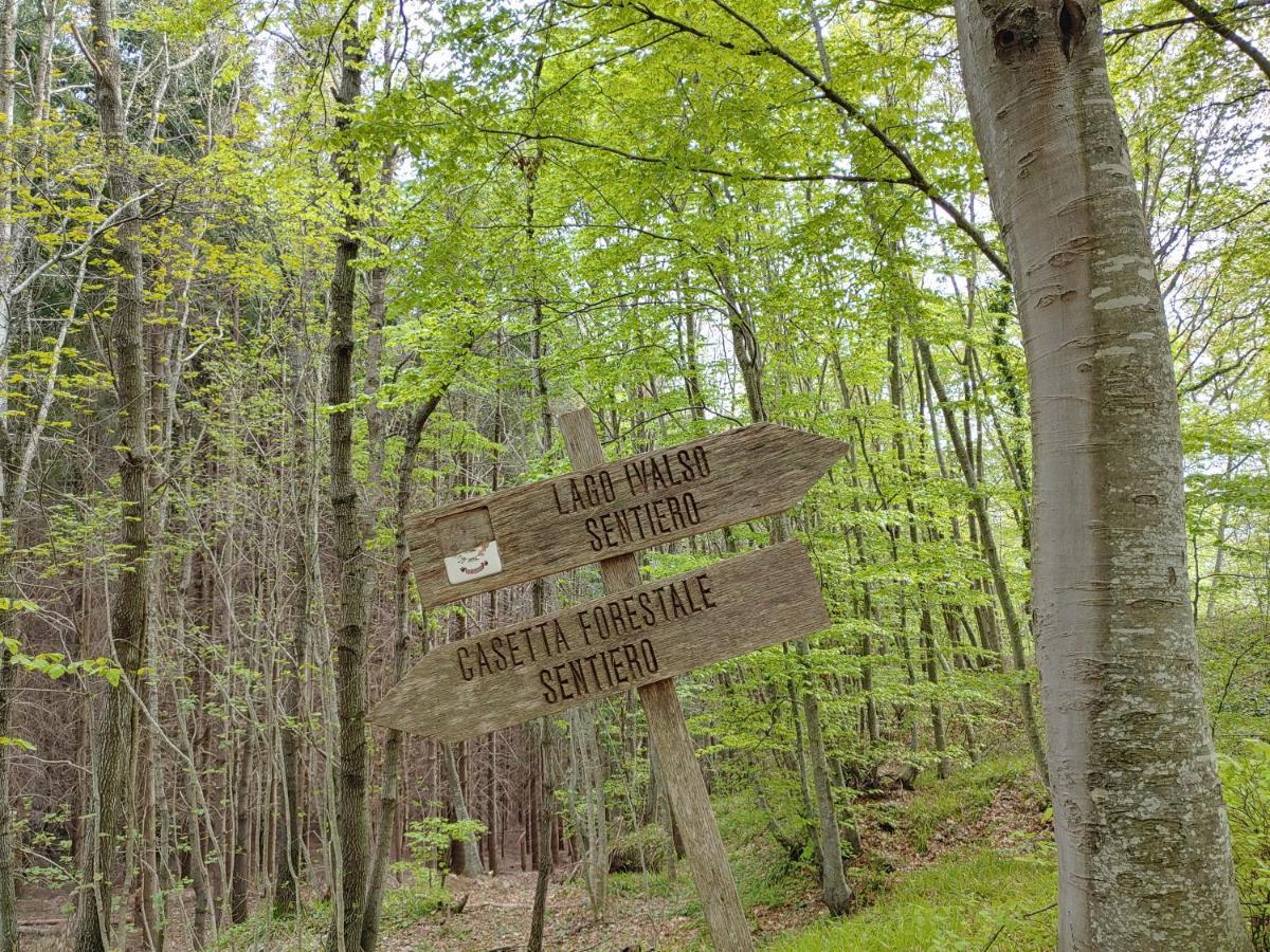 Locazione Turistica Arcobaleno "Appartamento Superior" Roccavivara Zewnętrze zdjęcie